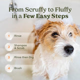 PAWFUME Deshedding Dog Shampoo and Conditioner, Show Dog, 1-Pack – Nourish & Detangle for Silky Soft Coat – Probiotic, Deep-Cleaning, pH-Balanced Formula – Salon-Quality Shampoo for Dogs