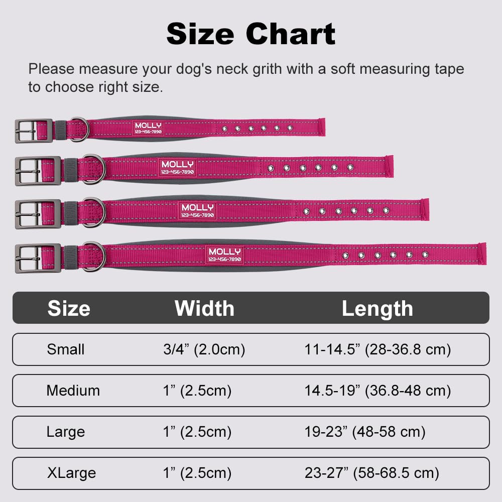 Personalized Dog Collar | Durable Metal Buckle