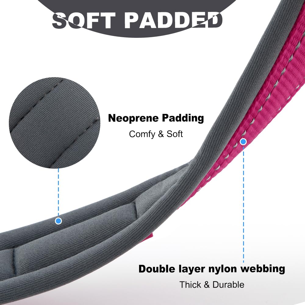 Personalized Dog Collar | Durable Metal Buckle