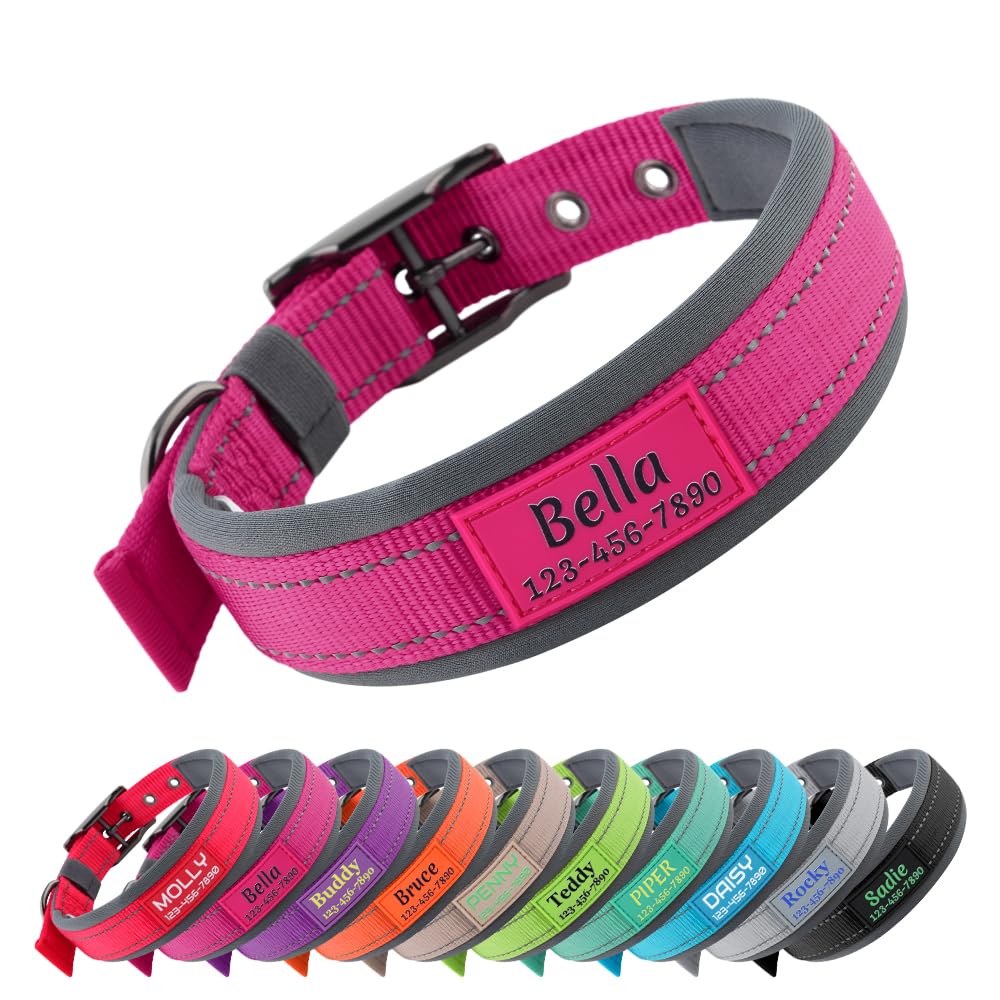 Personalized Dog Collar | Durable Metal Buckle