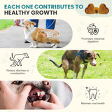 Dogs Probiotics