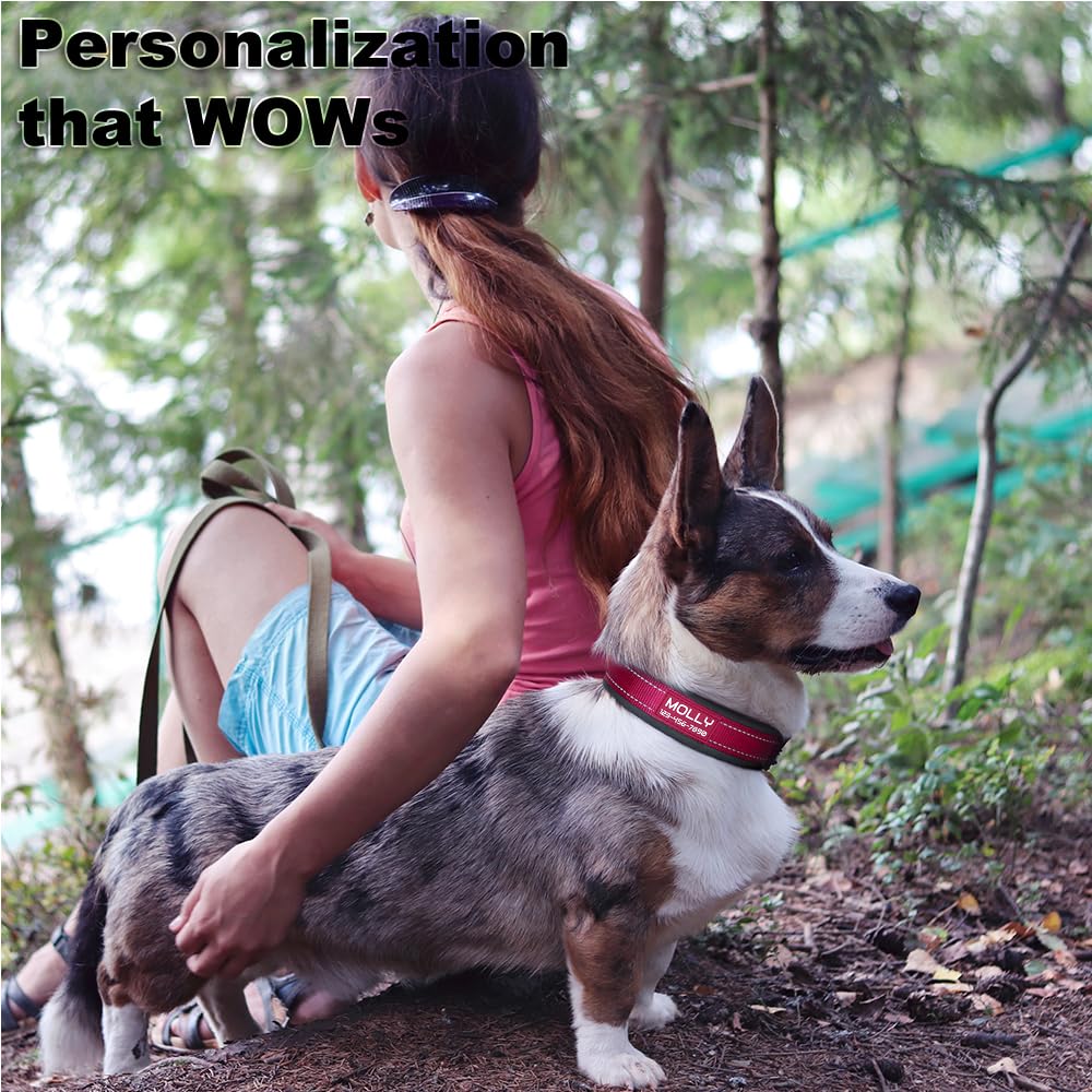 Personalized Dog Collar | Durable Metal Buckle