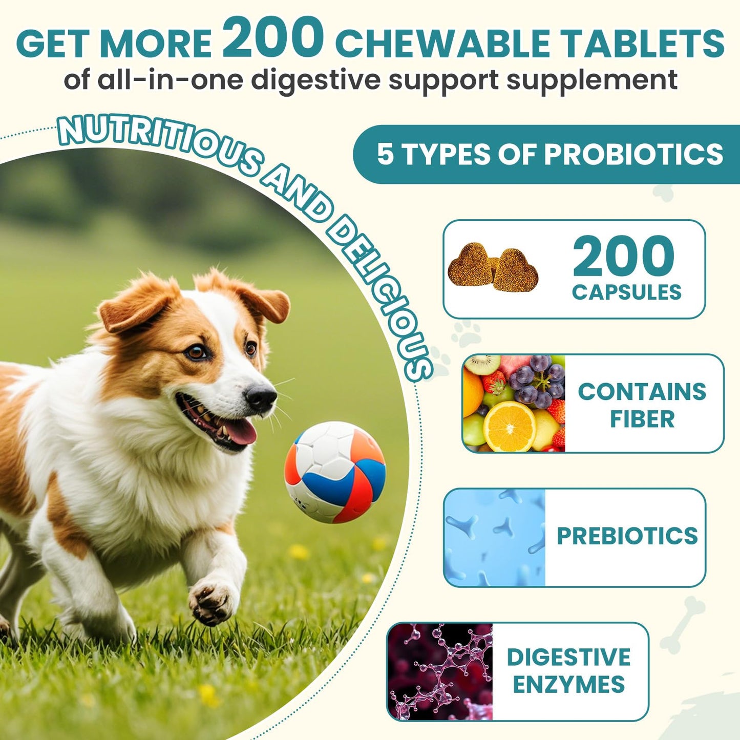 Dogs Probiotics