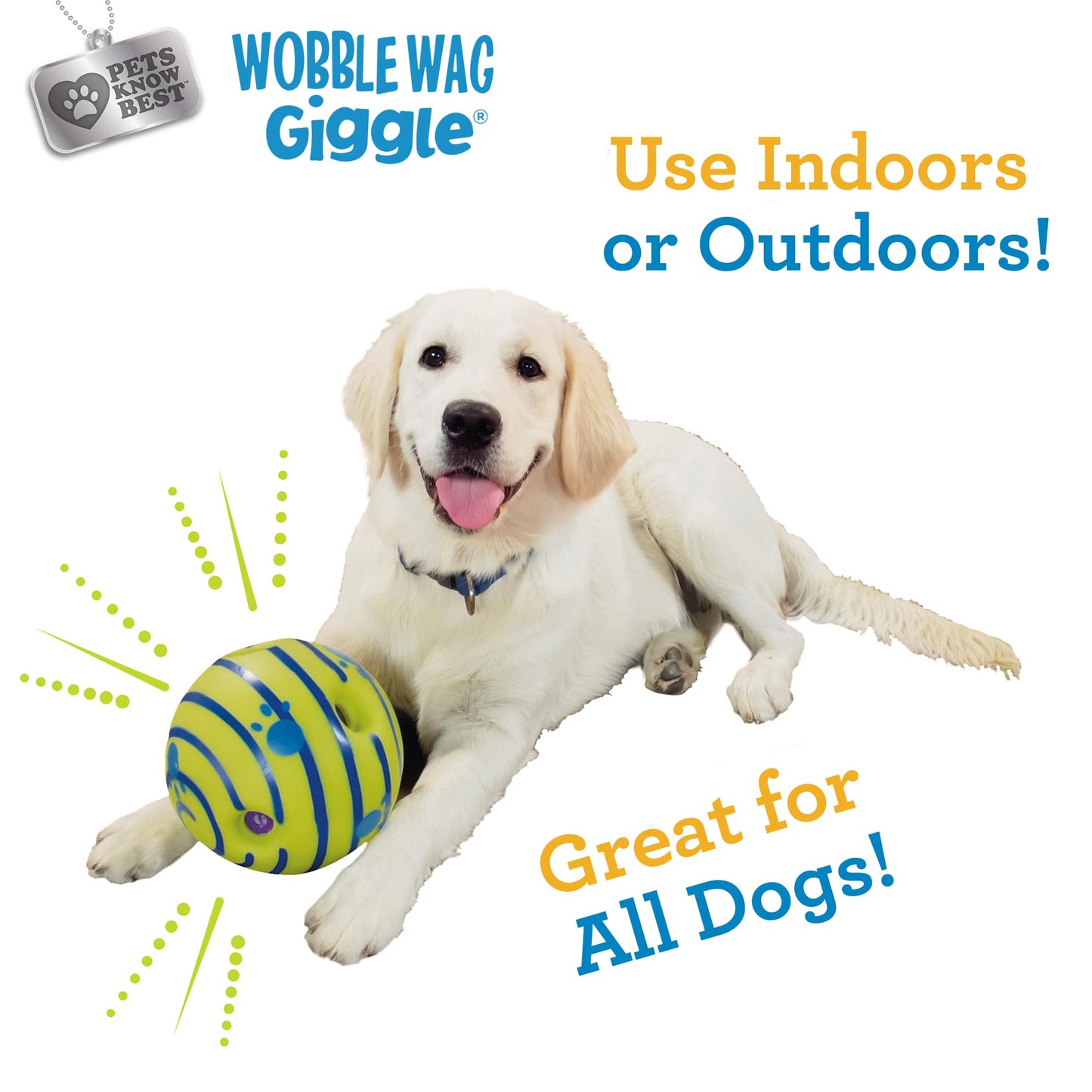 Dog Giggle Ball | Interactive Rolling Toy