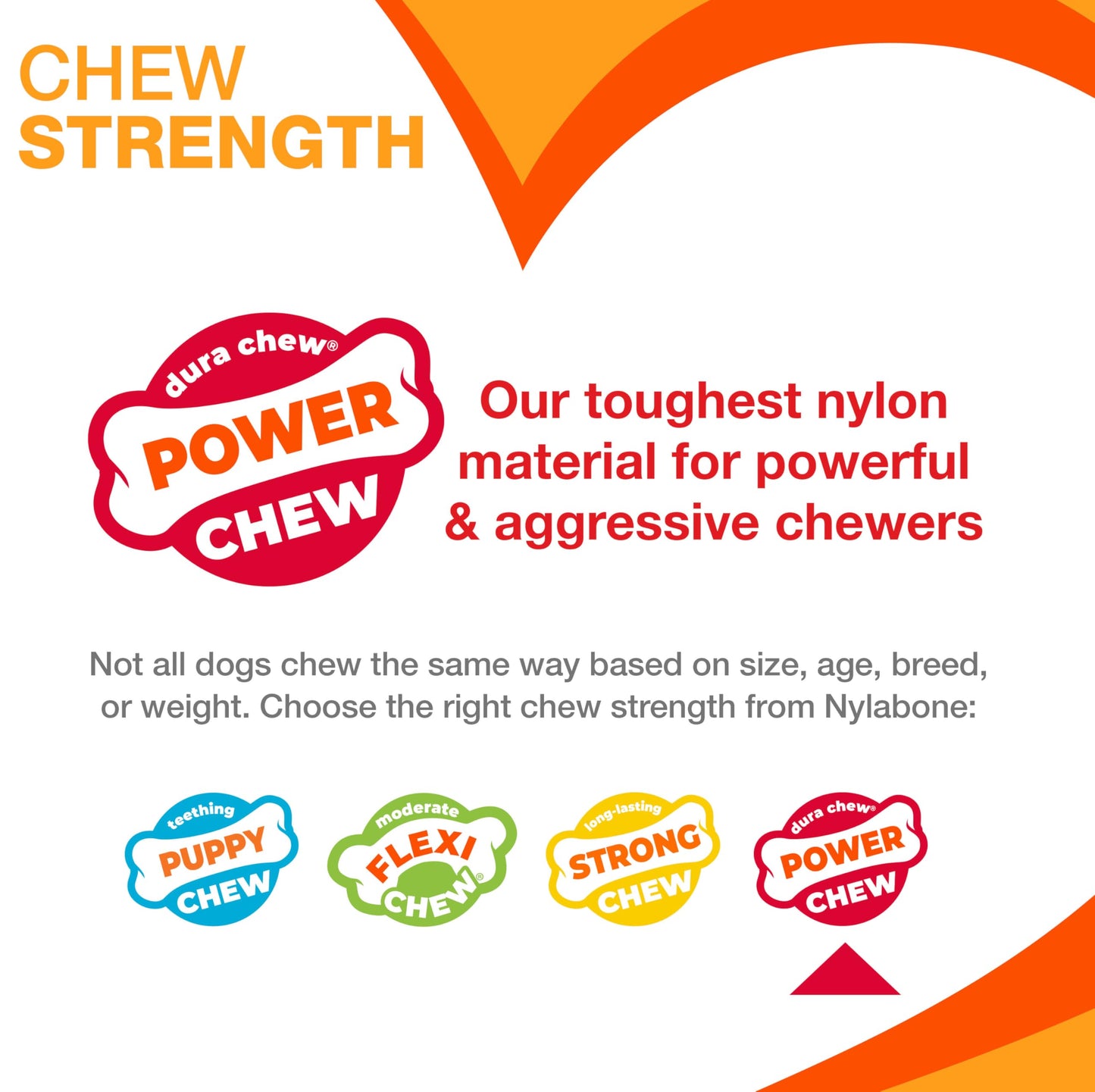 Power Chew Textured Ring for Large Dogs
