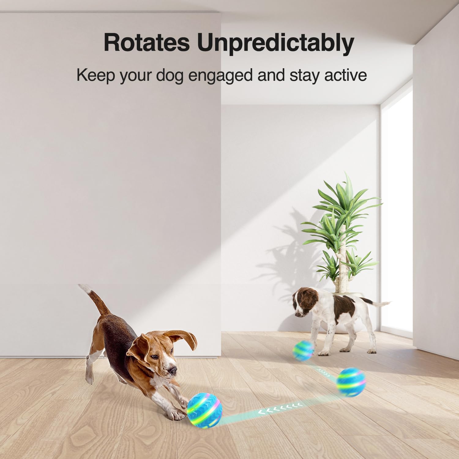 LED Dog Ball