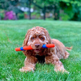 Ultra Fetch Stick | 12" Durable Outdoor Toy