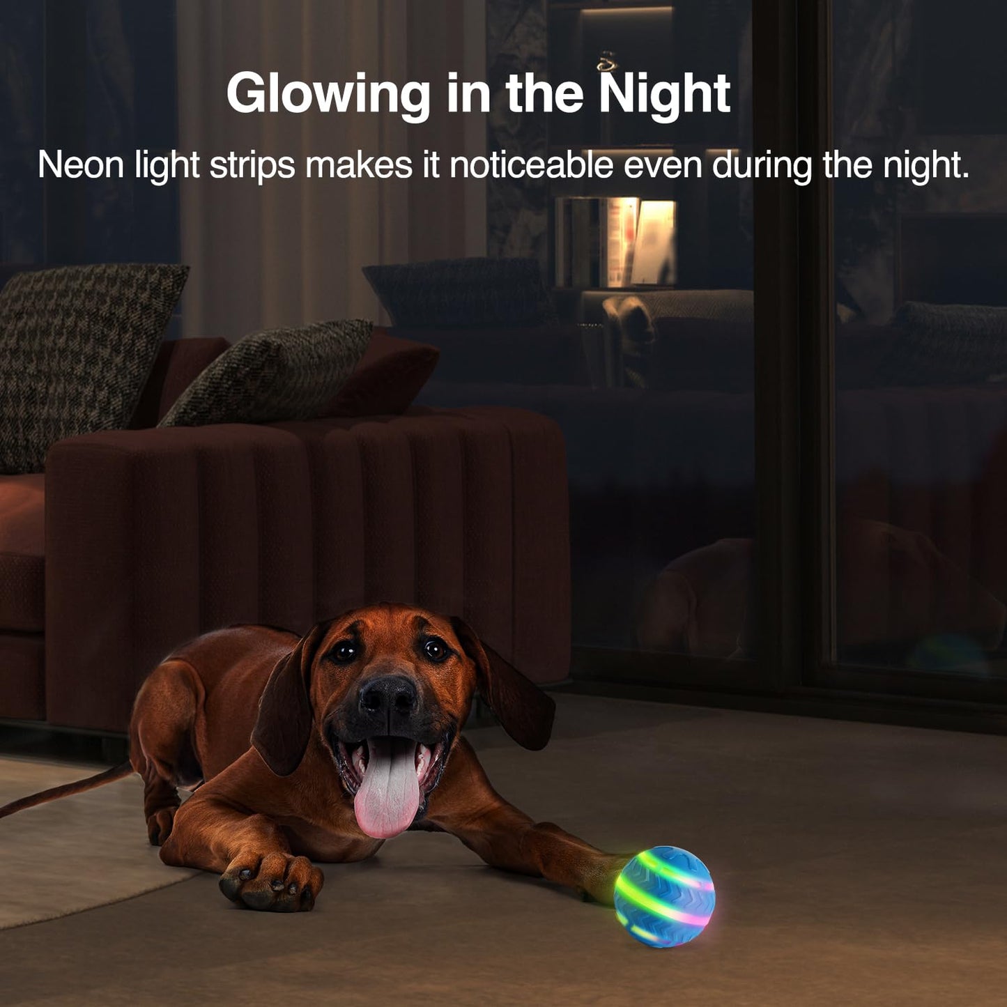 LED Dog Ball