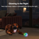 LED Dog Ball