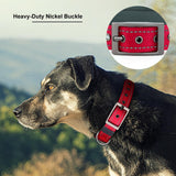 Personalized Dog Collar | Durable Metal Buckle