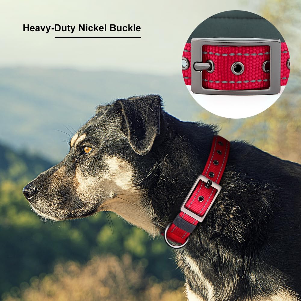 Personalized Dog Collar | Durable Metal Buckle