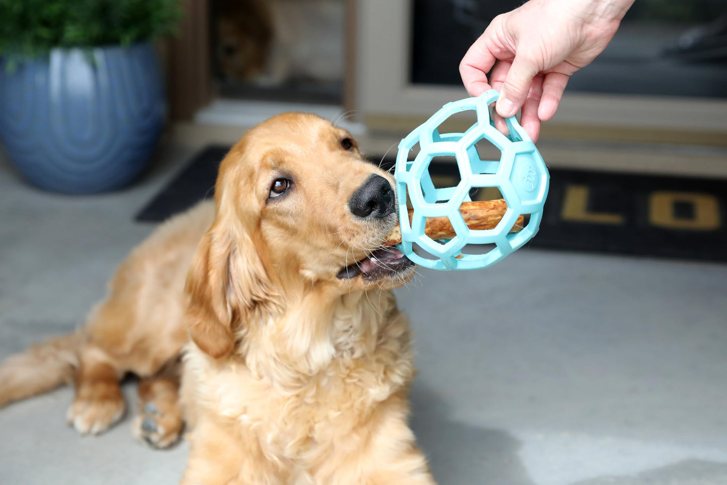 Dog Hol-ee Puzzle Ball