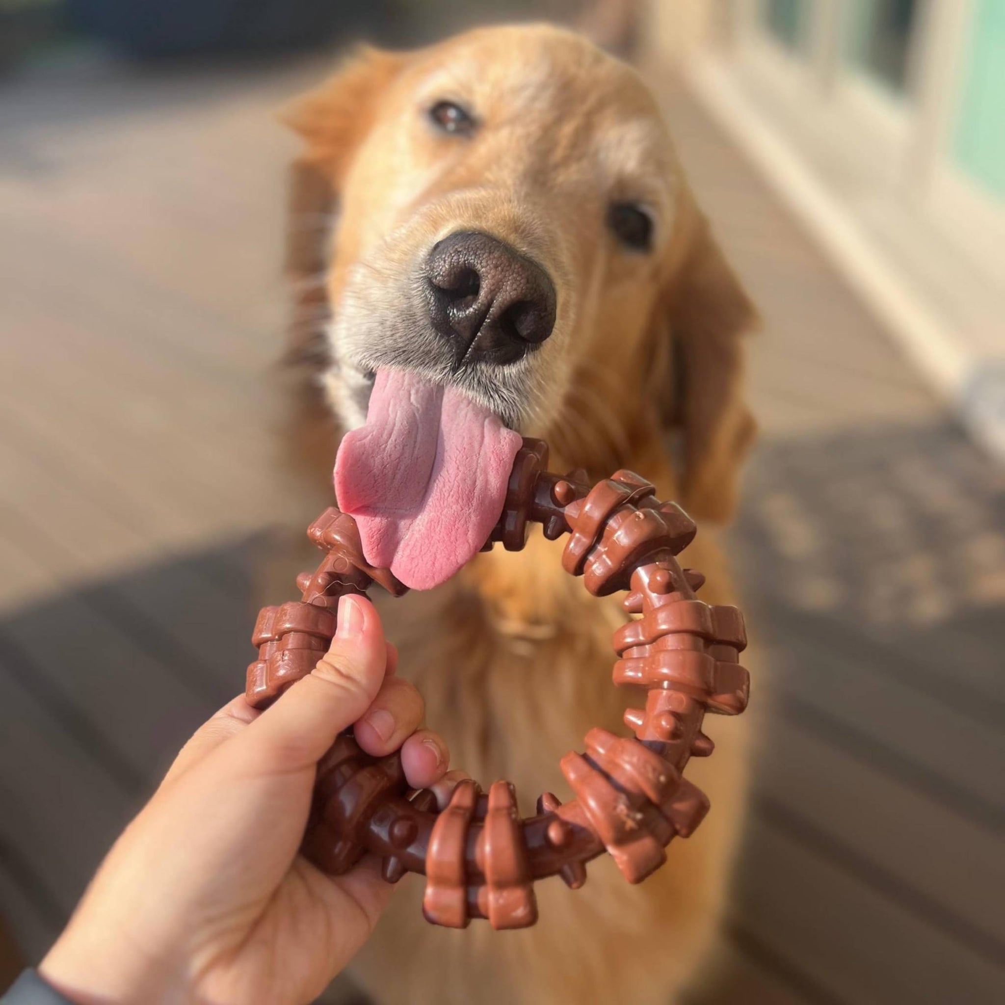Power Chew Textured Ring for Large Dogs