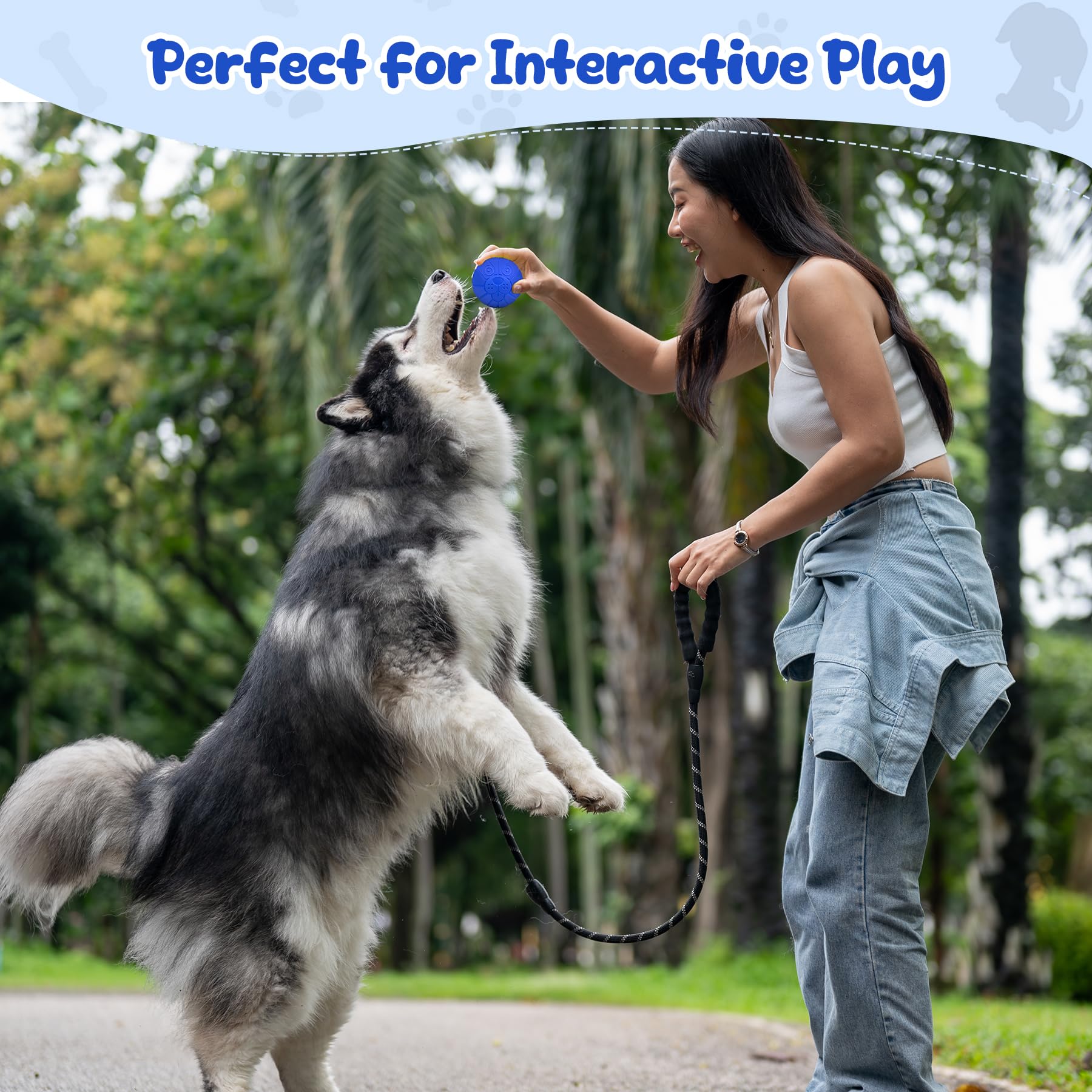 Indestructible Dog Ball