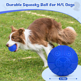 Indestructible Dog Ball