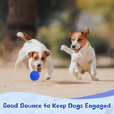 Indestructible Dog Ball