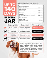 Omega Dog Skin & Coat Chews