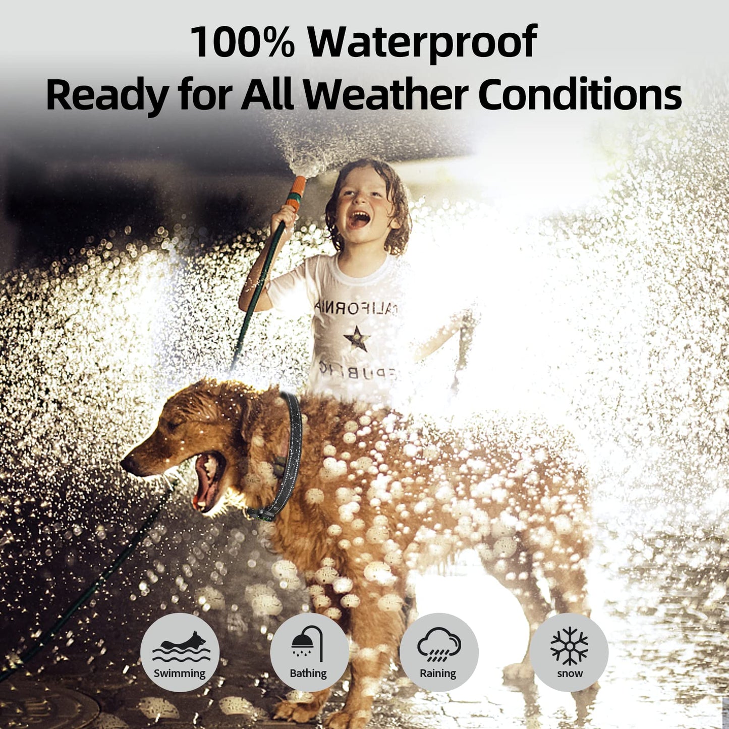 Smart Rechargeable Dog Bark Collar