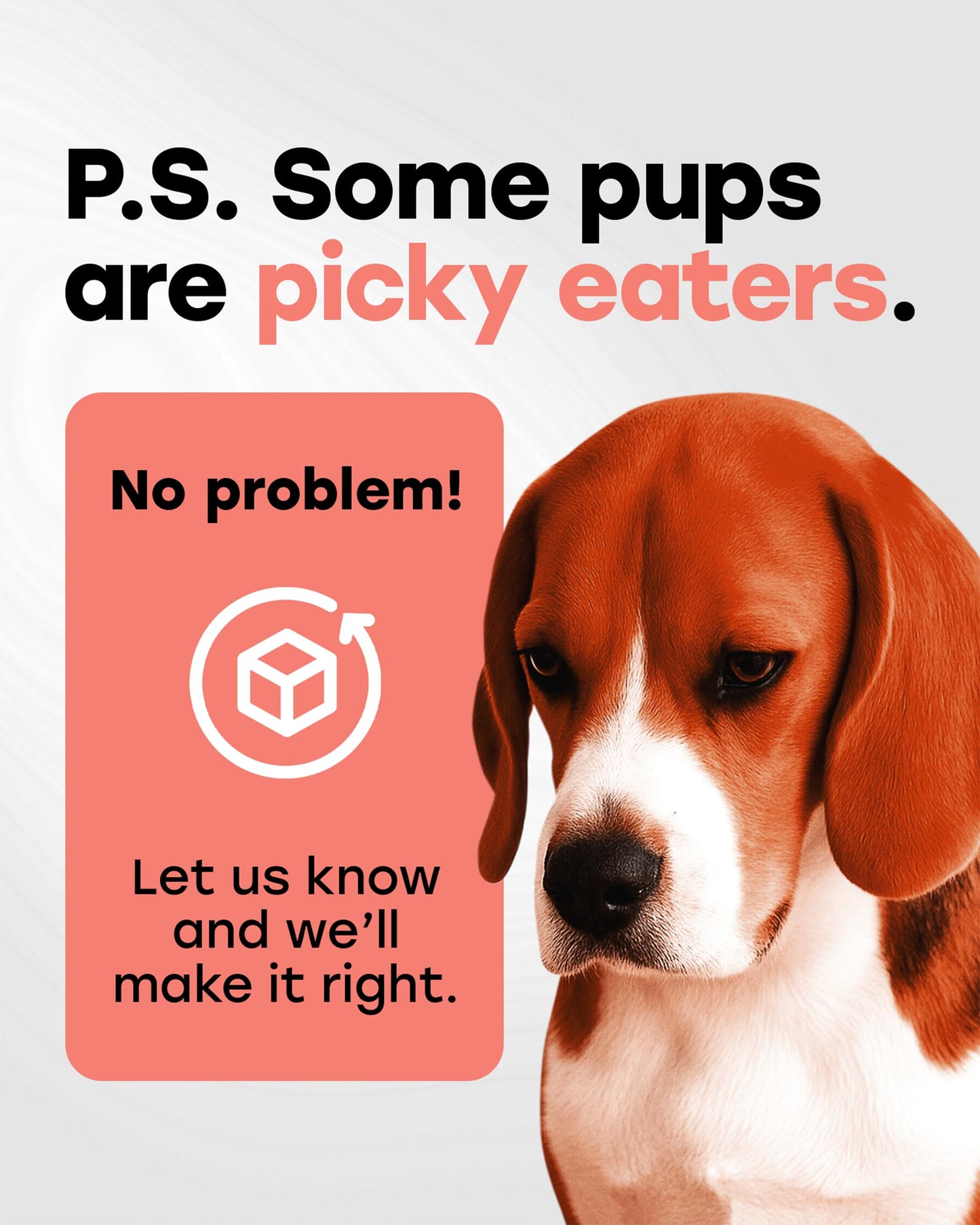 Omega Dog Skin & Coat Chews