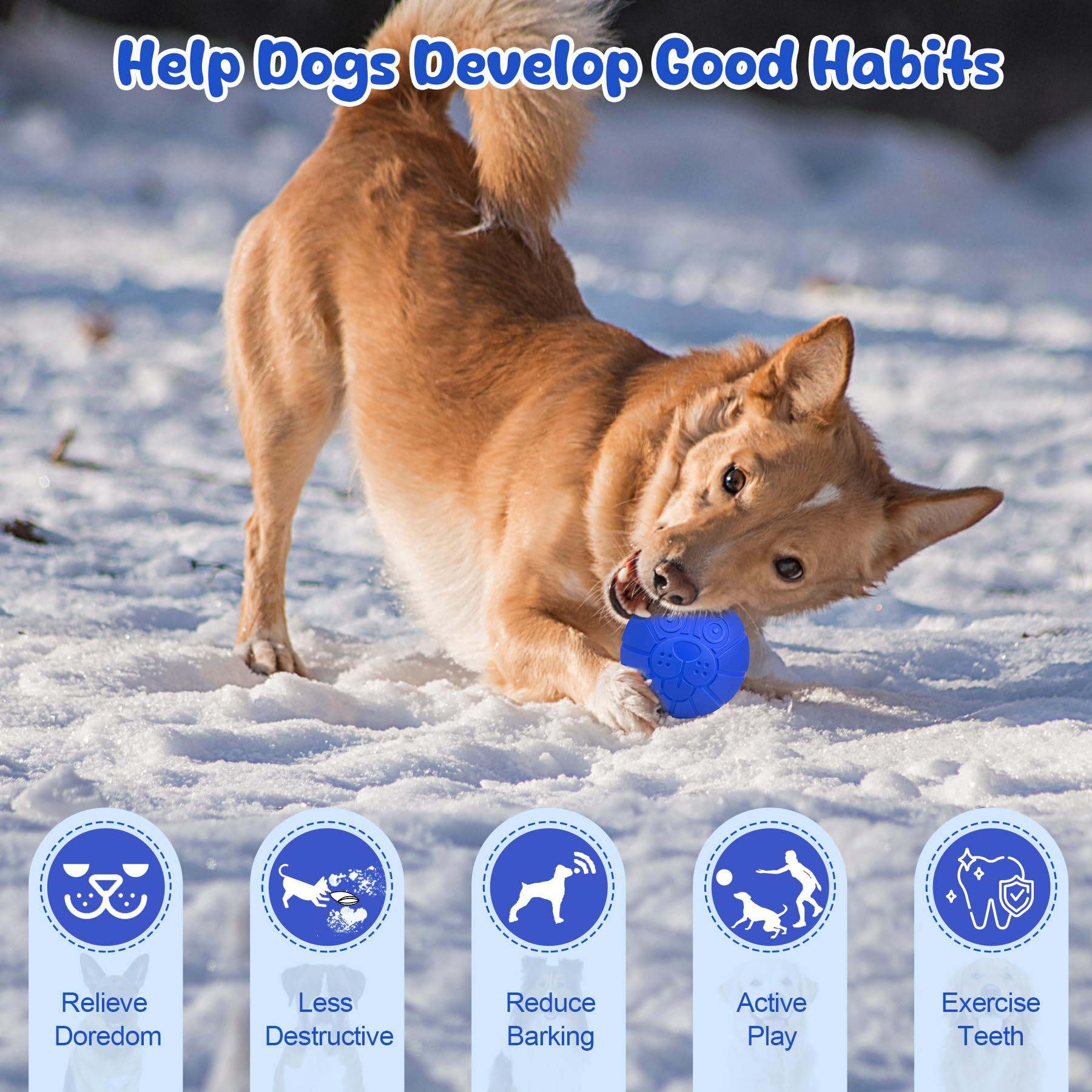 Indestructible Dog Ball