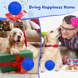 Indestructible Dog Ball