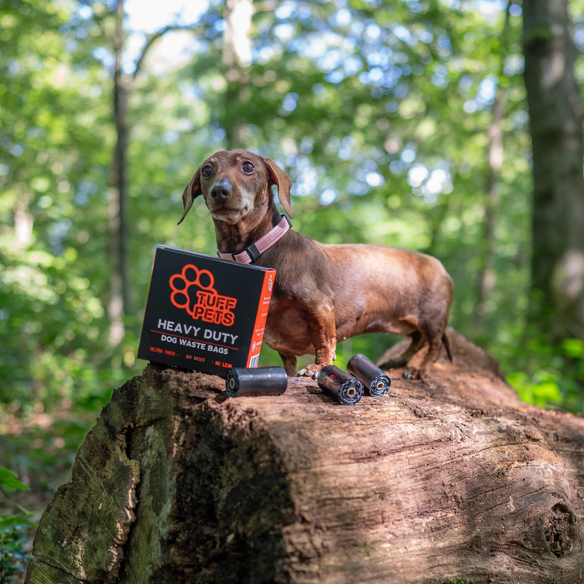 Heavy-Duty Dog Poop Bags — 16 Rolls