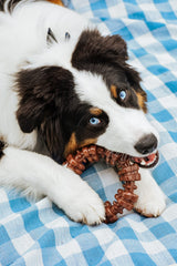 Power Chew Textured Ring for Large Dogs