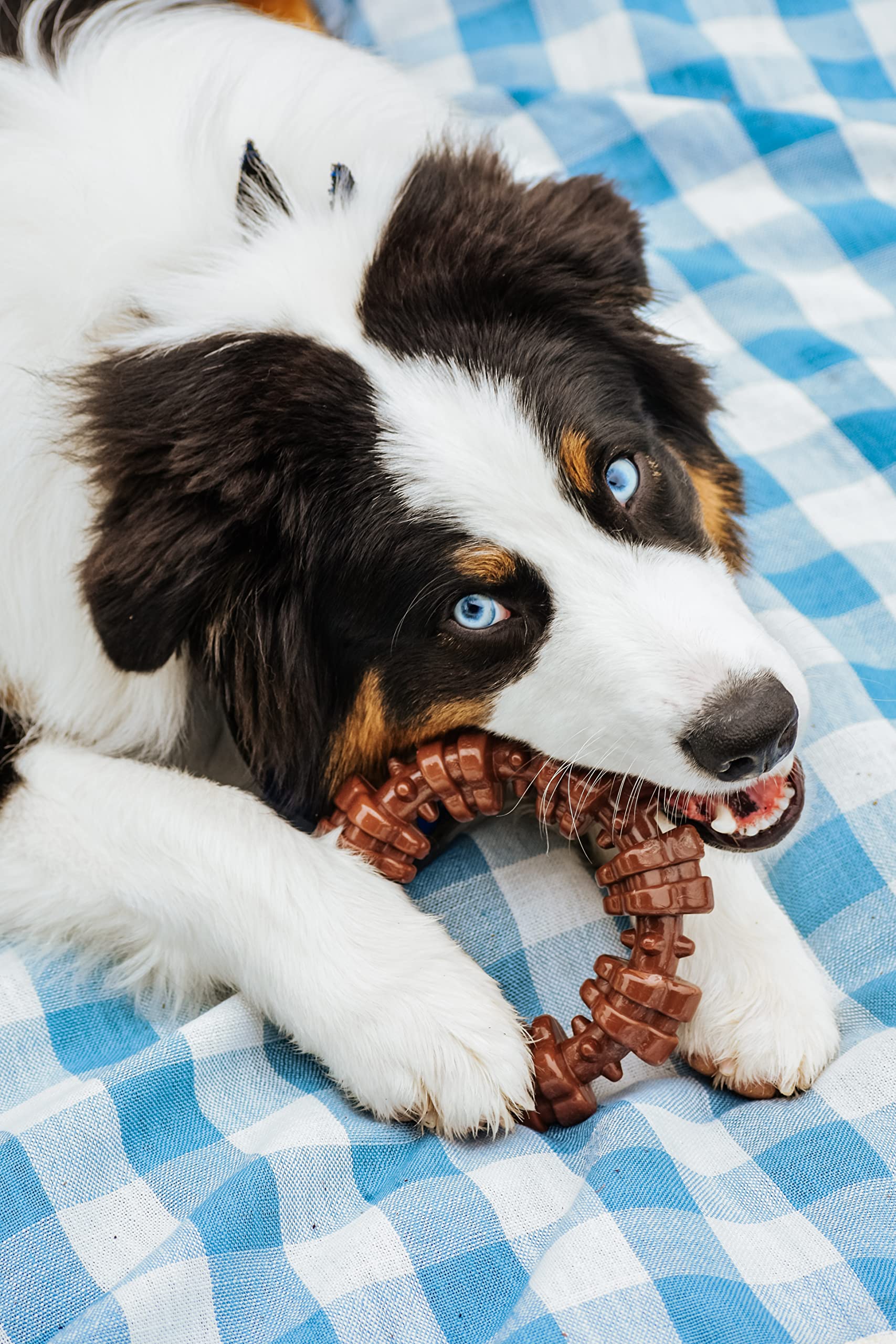 Power Chew Textured Ring for Large Dogs