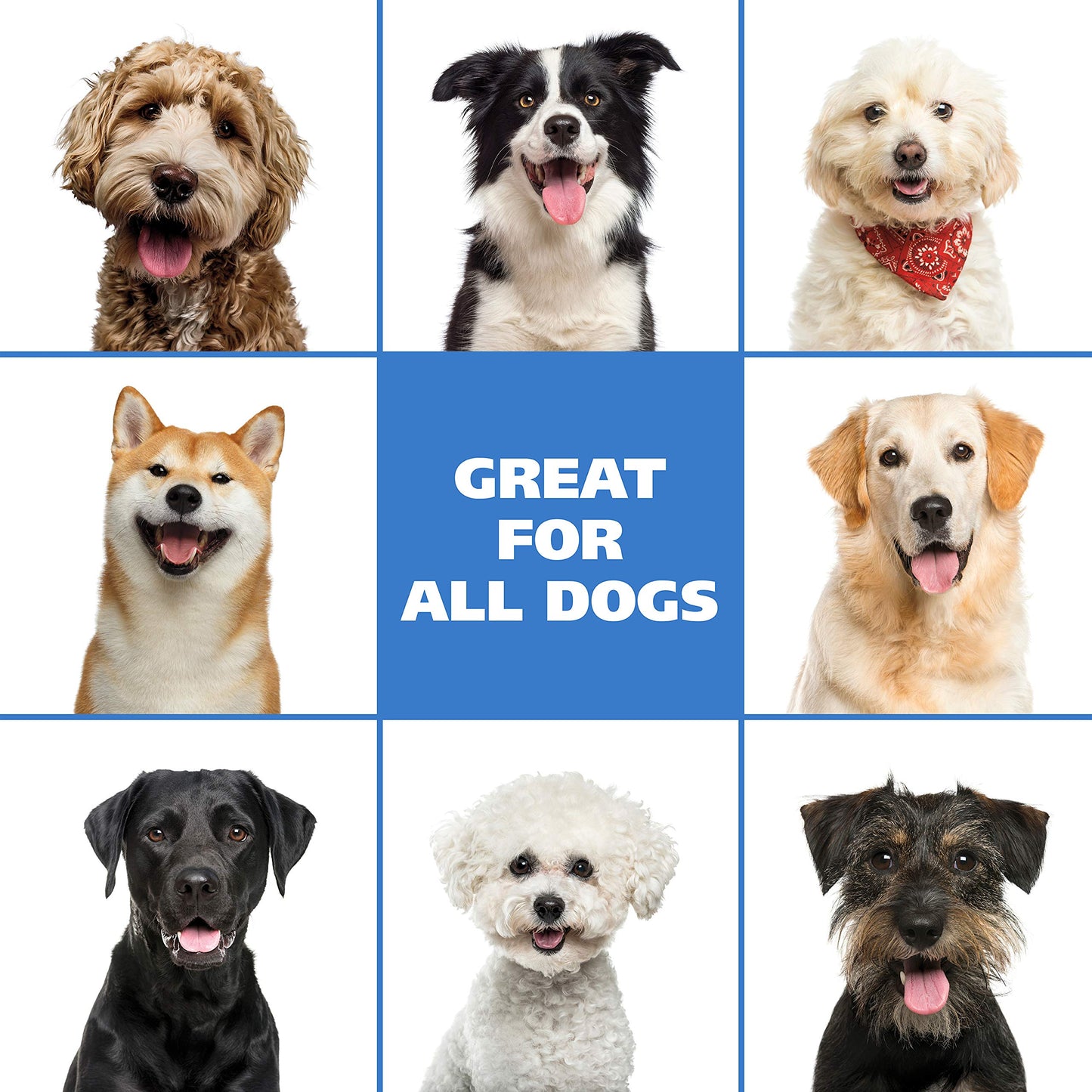 Waterless No Rinse Shampoo