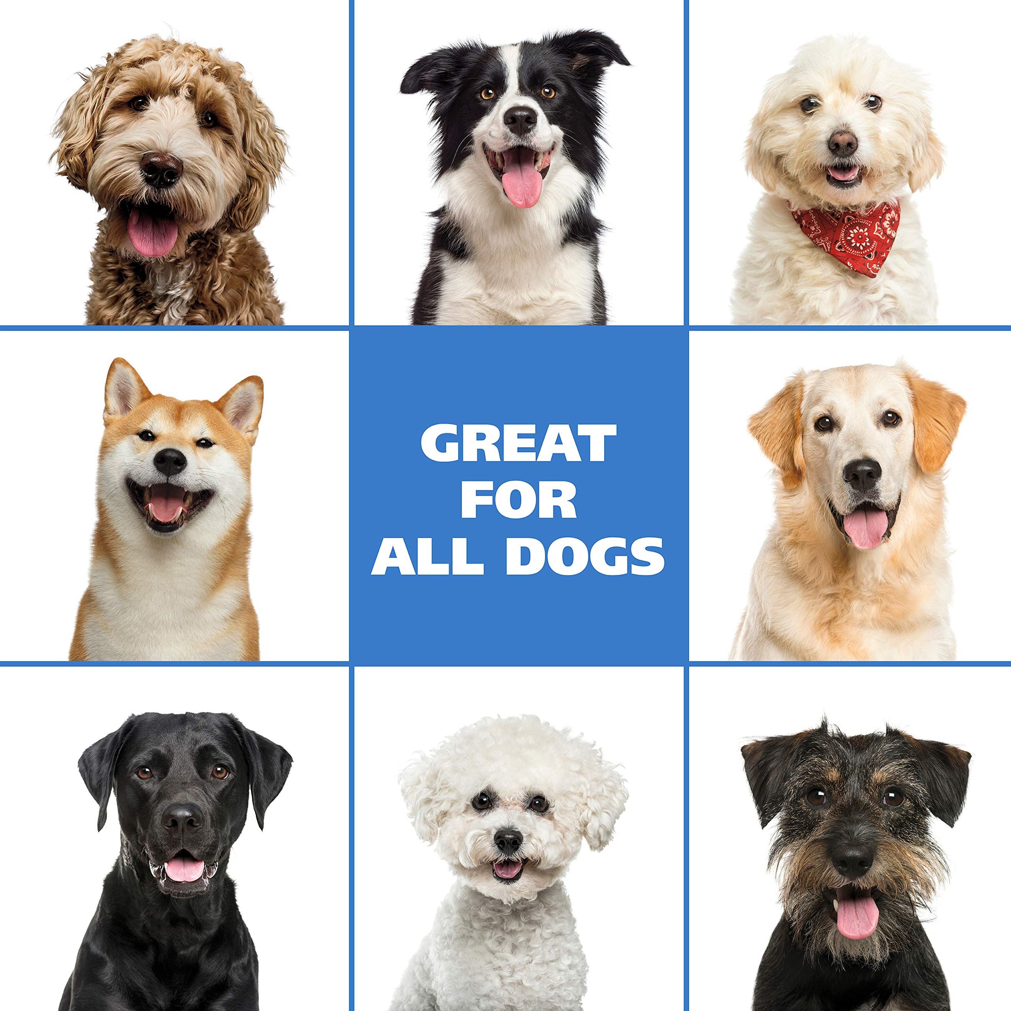 Waterless No Rinse Shampoo