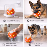 Motion Activated Dog Ball