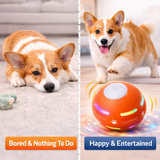 Motion Activated Dog Ball