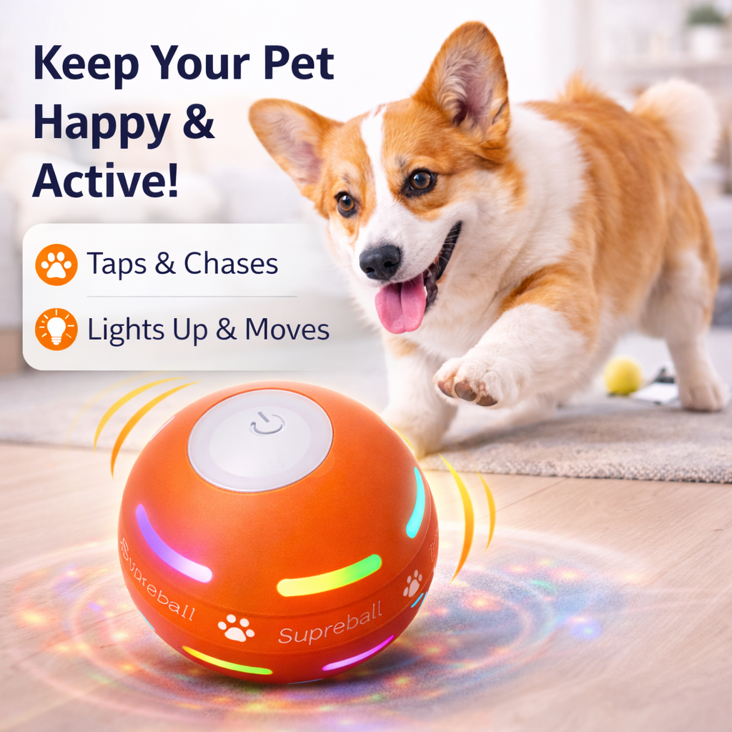 Motion Activated Dog Ball
